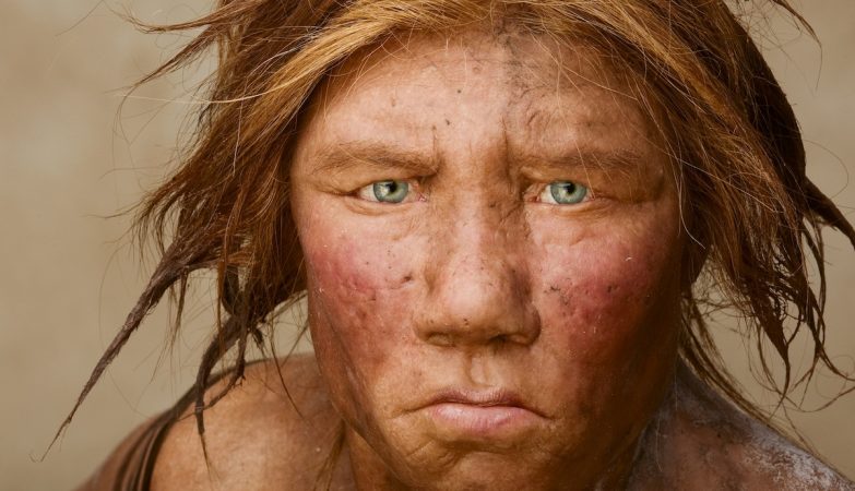 Wilma, uma fêmea reconstituída a partir de DNA neanderthal, era ruiva, de olhos claros, pálida e tinha sardas - como quase todos os neanderthals