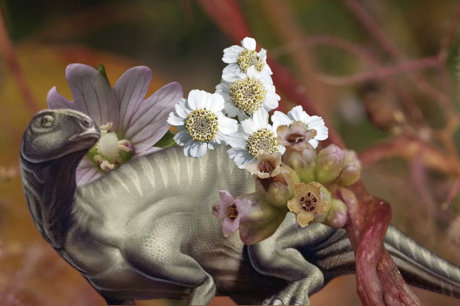 Um Dinossauro Um Malmequer Um Parasita E Algo Sombrio Novas E Raras