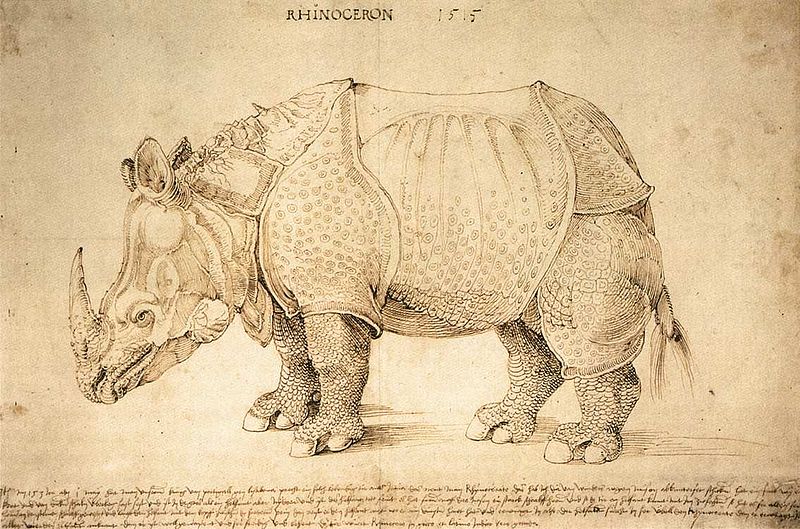 "Rhinoceros" de Albrecht Dürer (1471–1528) (foto: wikimedia)