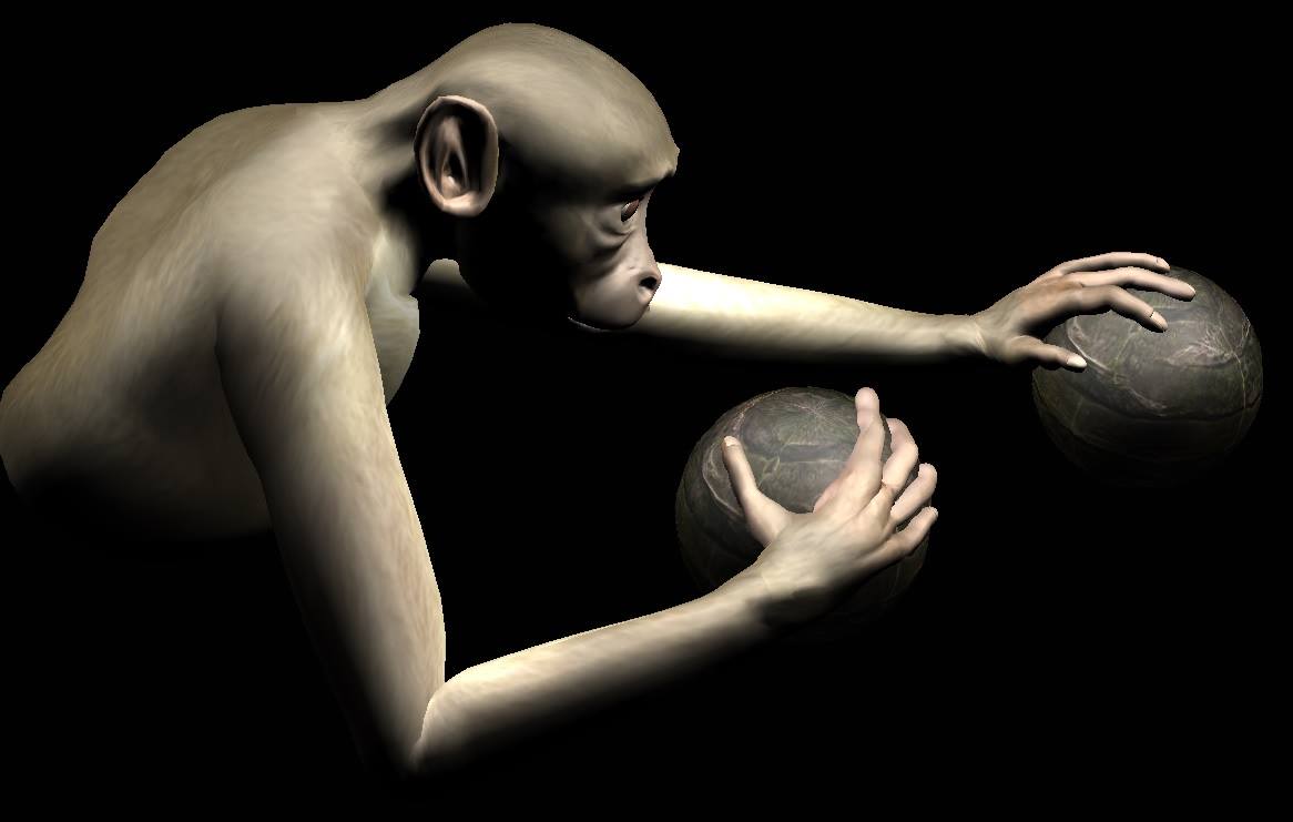 Macaco move braço virtual com o cérebro (foto: Miguel Nicolelis / Facebook)