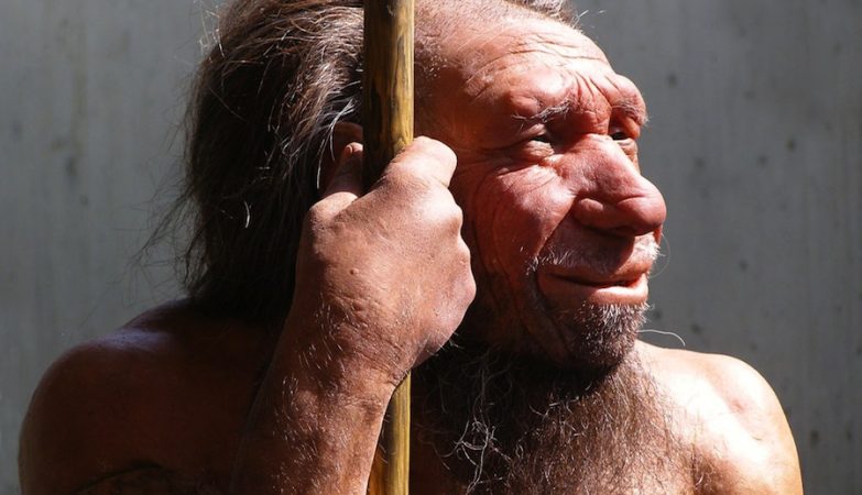 O Homem do Neandertal