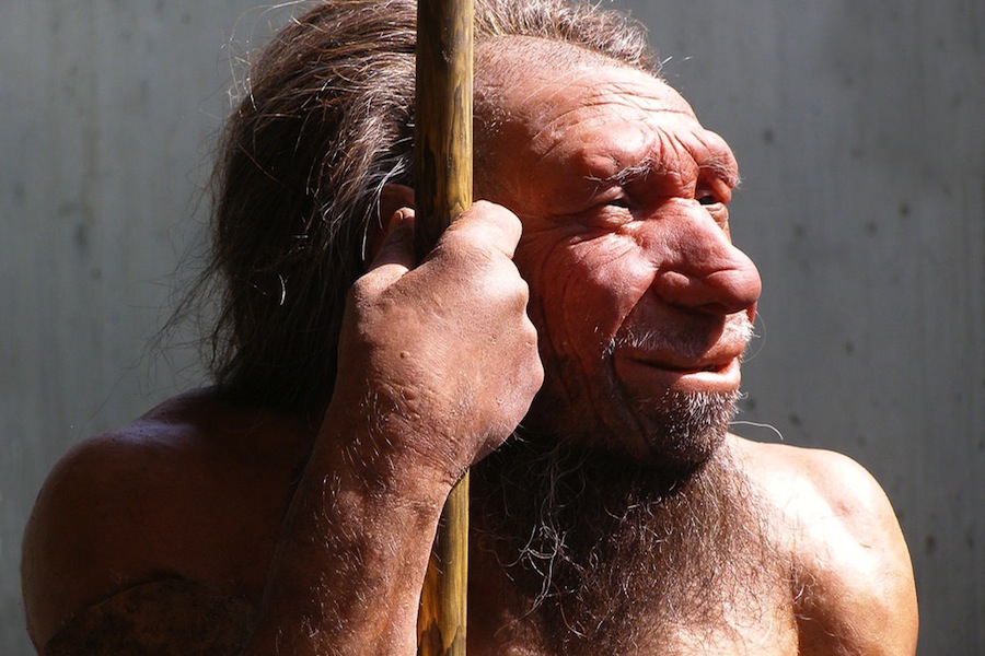 O Homem do Neandertal