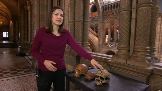 Professora Isabelle de Groote no Museu de História Natural de Londres