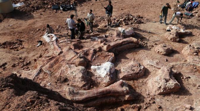 O maior dinossauro do mundo foi descoberto em Trelew, na Patagónia (Argentina)