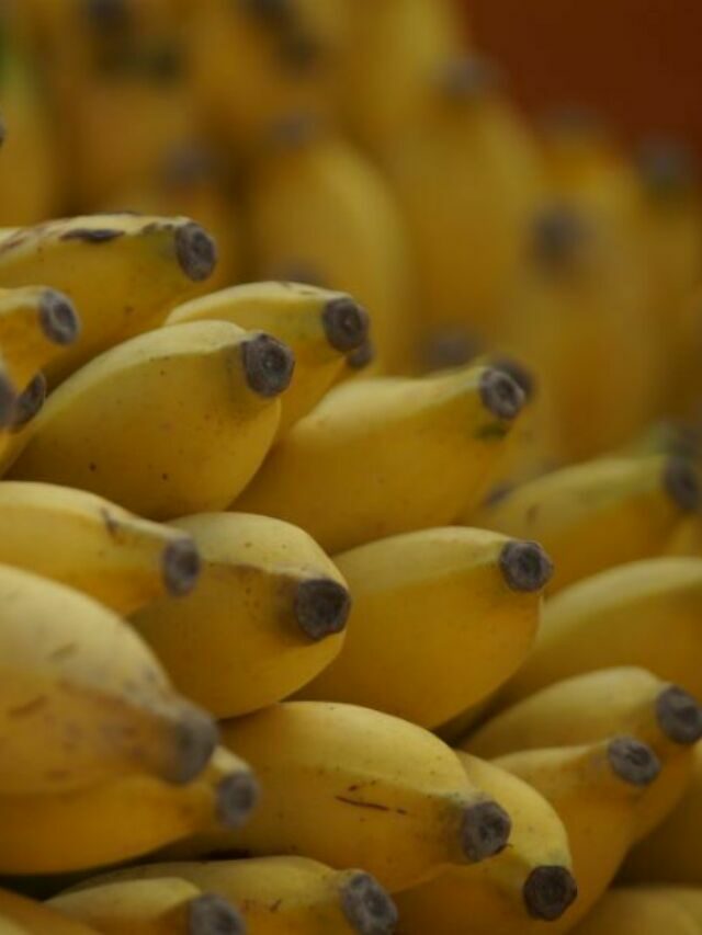 A banana tem três “primos afastados”. Os cientistas estão à sua procura