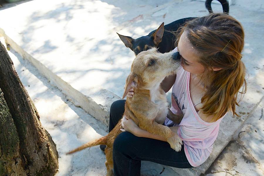 Pais tentam deixar os filhos na União Zoófila - ZAP