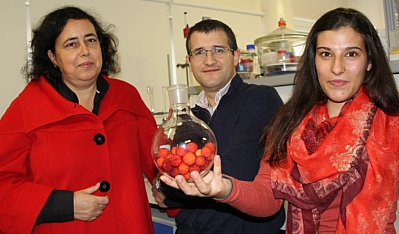 Sílvia Rocha, Armando Silvestre e Daniela Fonseca, investigadores da Universidade de Aveiro