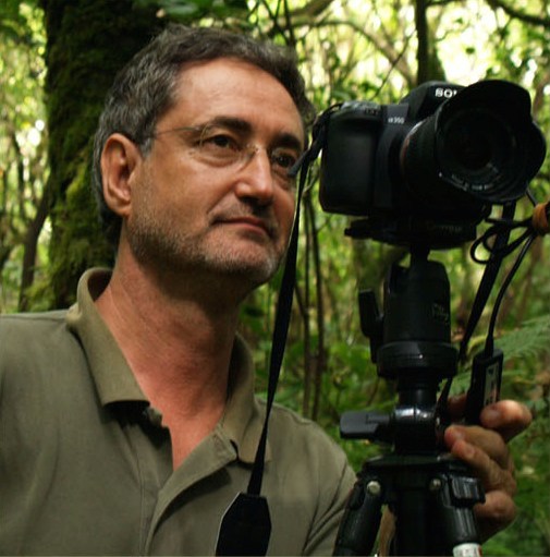 Eduardo Dias, diretor do Gabinete de Ecologia Aplicada e Aplicada da Universidade dos Açores