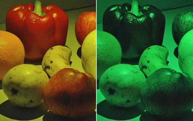 Dois exemplos de como o conjunto de frutas pode ser visto por um daltónico, consoante o nível da disfunção visual.