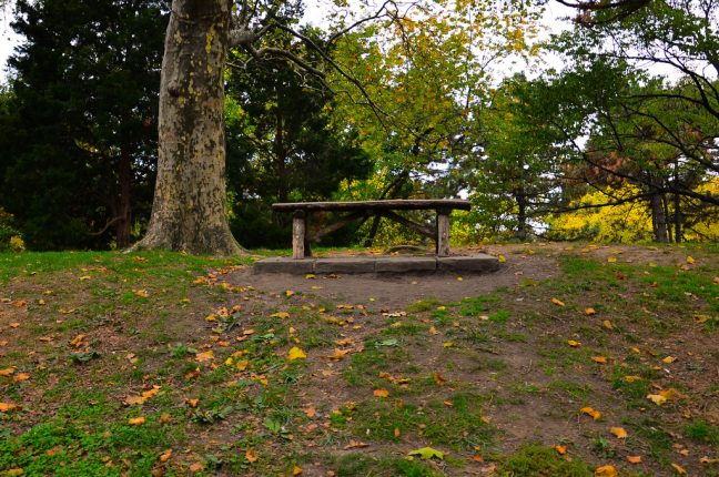 O Central Park pode ser um refúgio tranquilo no coração da “Grande Maçã”