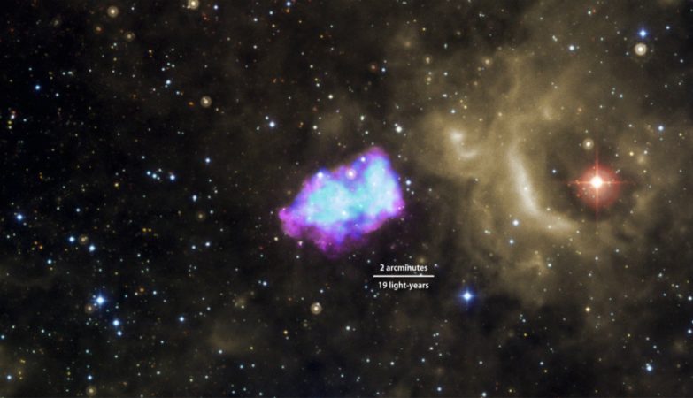 Um estudo de 3C 397, um remanescente de supernova visto aqui em raios-X pelo Observatório de raios-X Chandra (púrpura) e pelo Suzaku (azul), indica que a explosão surgiu a partir de uma única anã branca que acumulou matéria de uma companheira estelar normal. A anã branca explodiu quando atingiu cerca das 1,4 massas solares.