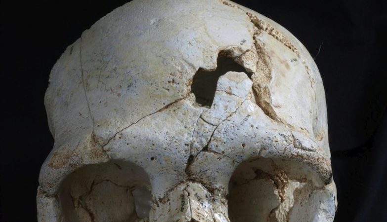 O crânio descoberto em Espanha é a mais antiga prova conhecida de uso deliberado de força letal contra um humano
