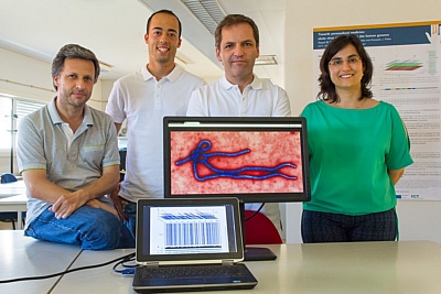 Os investigadores Armando Pinho, Diogo Pratas, Paulo Ferreira e Raquel Silva