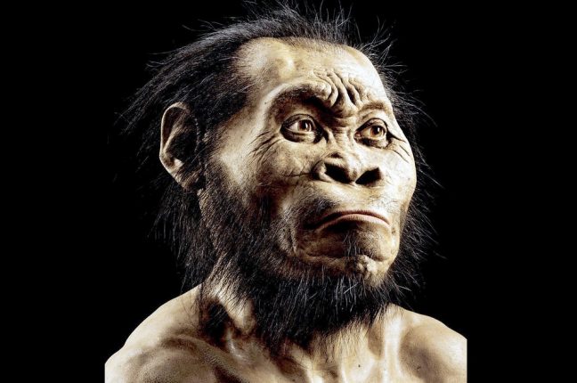 Eis o novo Homo naled, um dos mais antigos ancestrais conhecidos do Homem