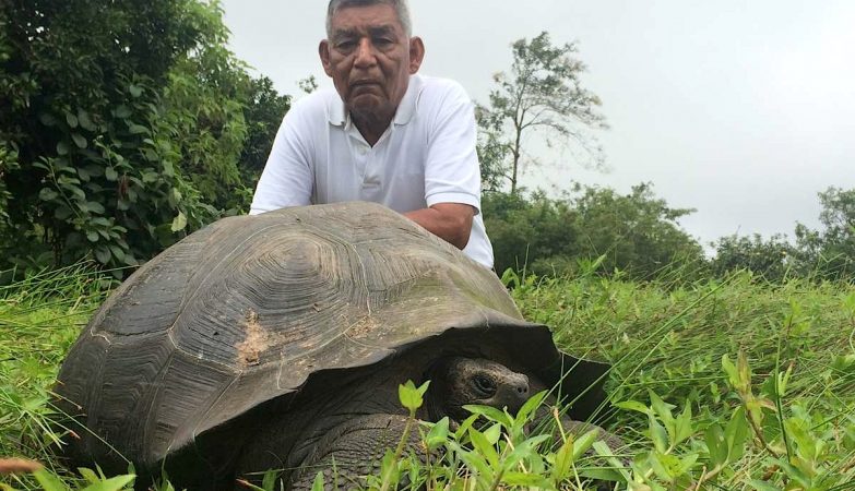 Fausto Llerena Sánchez, antigo tratador da "Lonesome George", posa com um exemplar de Chelonoidis donfaustoi, a espécie baptizada em sua homenagem