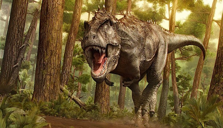 Jurassic Park enganou: tiranossauro rex tinha dentes ocultos e lábios