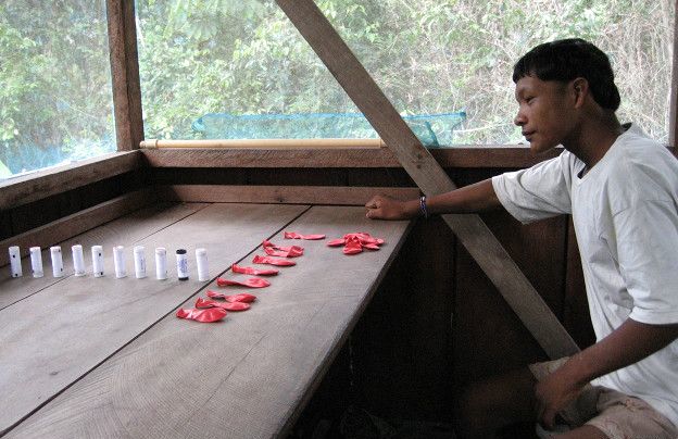 Um índio Pirahã a contar objectos. Muitos objectos. Ou poucos, dependendo.