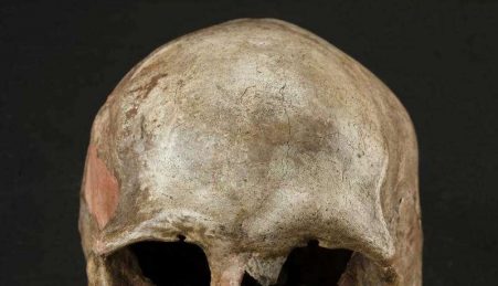 Um dos fósseis de homo sapiens, encontrados na Morávia, República Checa, analisados pela equipa de Johannes Krause