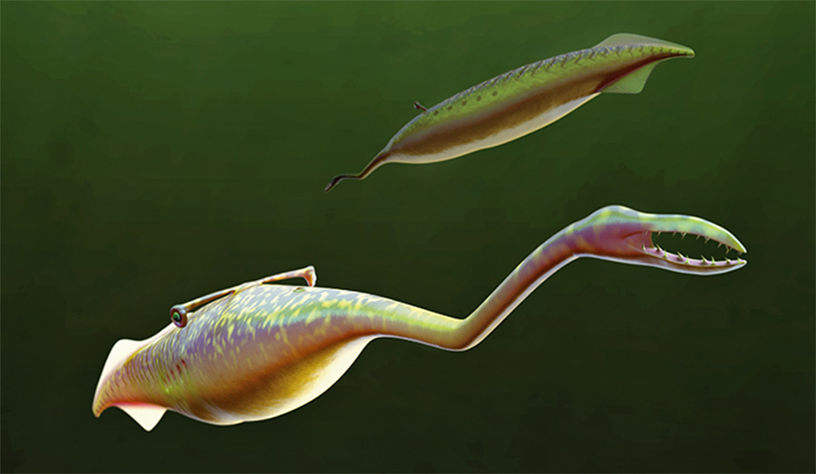 Ilustração do pré-histórico Monstro Tully, criatura marinha que terá vivido há 300 milhões de anos.