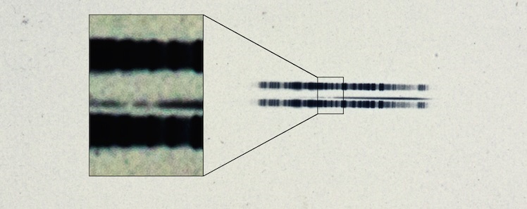  Chapa fotográfica de 1917 que mostra o espectro da estrela van Maanen do arquivo dos Observatórios Carnegie. A inserção mostra as fortes linhas do elemento cálcio, que são surpreendentemente fáceis de ver no espectro com um século. O espectro é a linha fina, (principalmente) escura no centro da imagem.