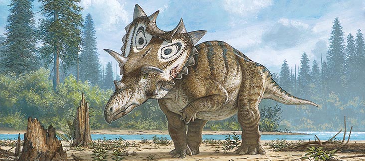 Ilustração do Spiclypeus shipporum, nova espécie de dinossauro.