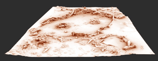 Uma reconstrução em 3D das estruturas subterrâneas da caverna de Bruniquel.