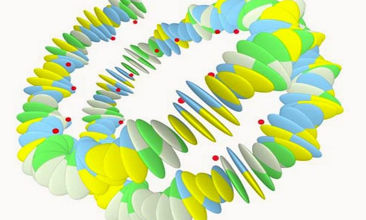 A forma como a cadeia de DNA se dobra determina quais os genes que estão "acessíveis" para produzir as proteínas