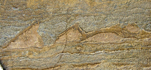 O fóssil mais antigo do mundo, com 3,7 mil milhões de anos