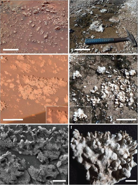 A sílica opalina de Marte (esquerda) ocorre em massas nodulares com estruturas digitadas que se assemelham às de El Tatio (direita)