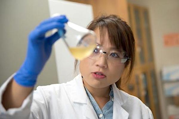 Jennifer Kan, investigadora do departamento de Engenharia Química da Caltech
