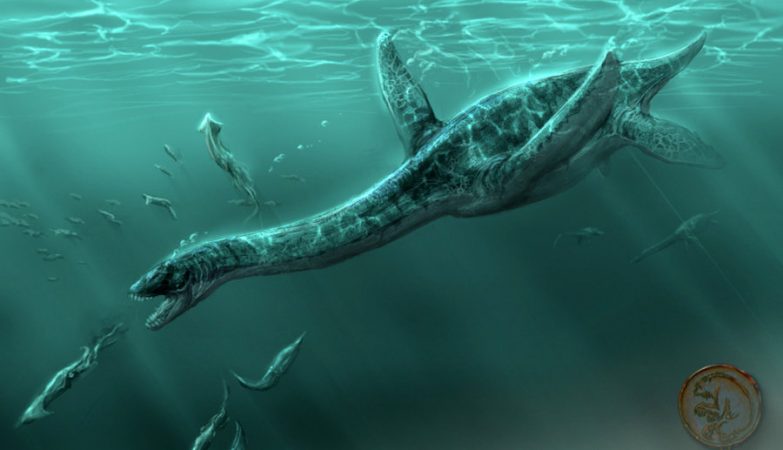 Plesiosauria é uma ordem de répteis marinhos fósseis do clado Sauropterygia.  Juntamente com os mosassauros, os plesiossauros estavam no topo da cadeia alimentar dos oceanos