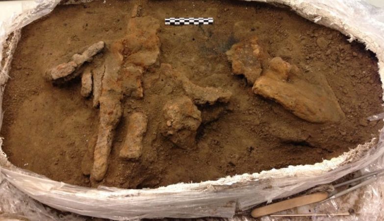 Os restos de uma caixa de ferramentas viking com mil anos de idade encontrados na Fortaleza de Borgring, na Dinamarca