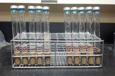 Os metanógenos contidos nestes tubos de ensaio, que também continham nutrientes para crescimento, areia e água, sobreviveram quando sujeitos a ciclos de arrefecimento-aquecimento marcianos