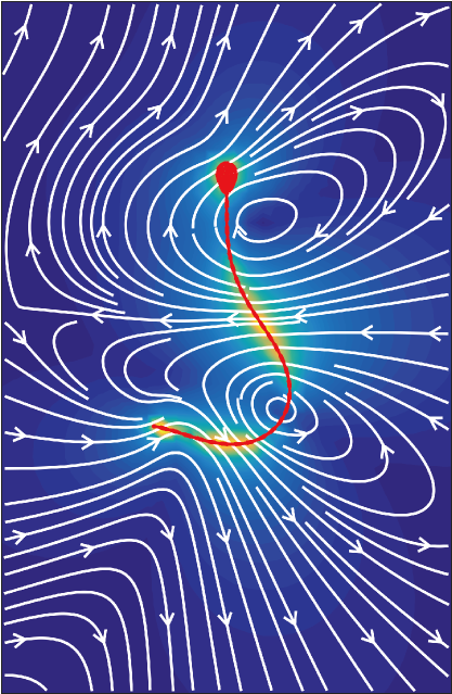 Cauda do espermatozóide move-se a ritmo característico que puxa a cabeça para trás e para os lados, criando um fluxo de líquido espasmódico.
