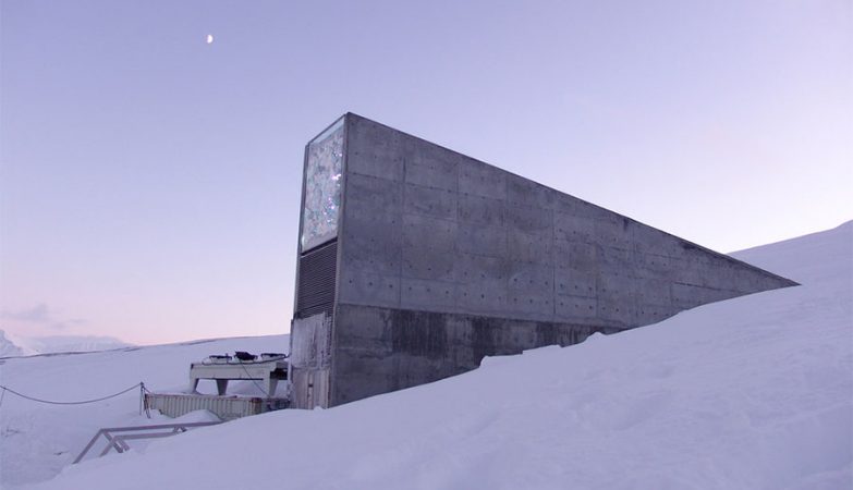 O Global Seed Vault, que preserva sementes, fica na mesma mina que o Arctic World Archive que preserva dados.