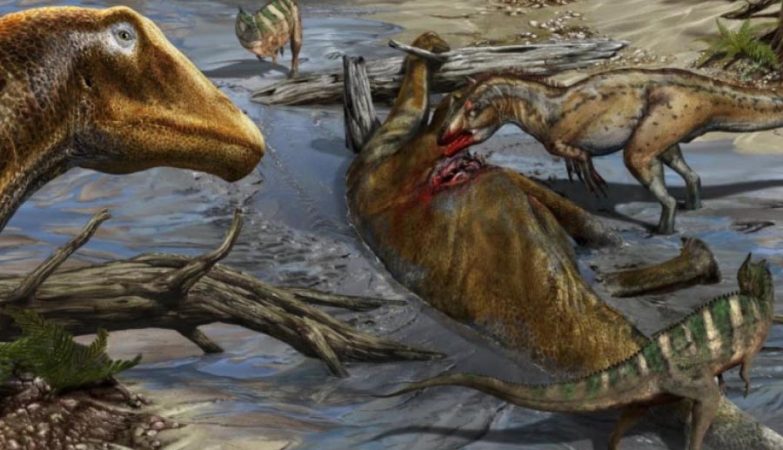 Ilustração do Galeamopus pabsti, nova espécie de dinossauro saurópode diplodocídeo.
