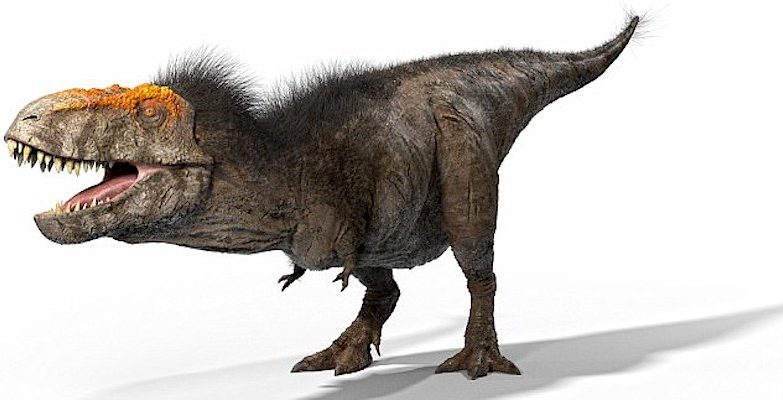 Pesquisa revela que dinossauro T-rex andava, não corria