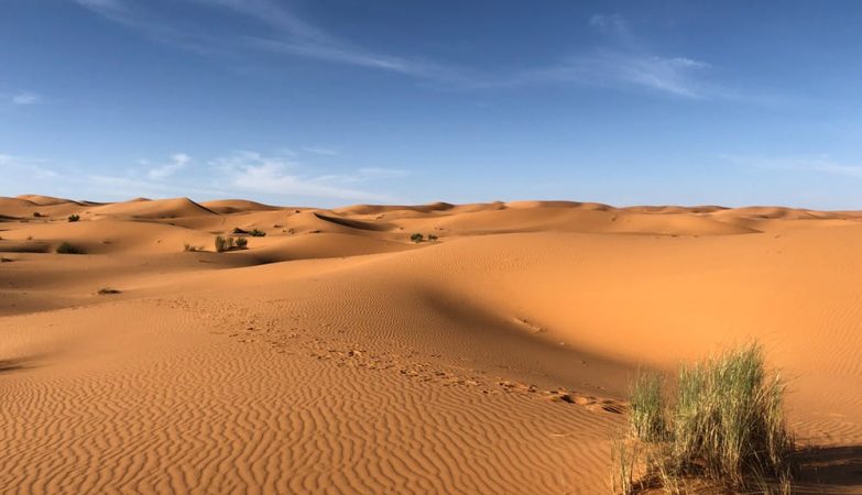 O que é areia movediça? Ela é mesmo perigosa?