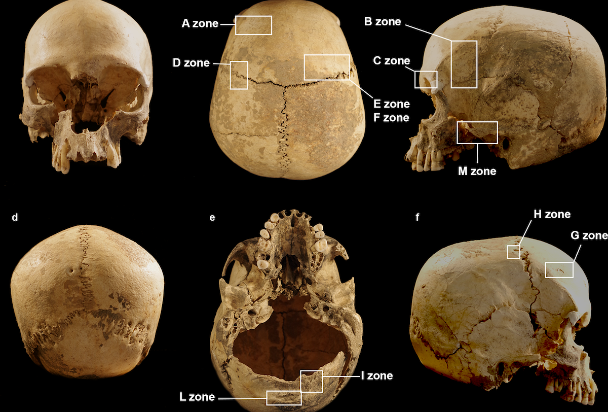 Cráneo de una mujer decapitada hallada en una cueva en el norte de Italia