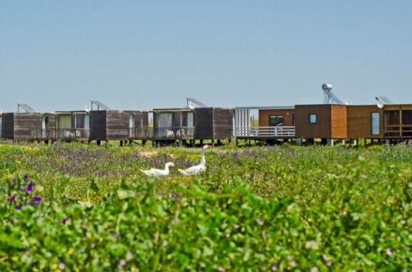 Zmar Ecop Experience