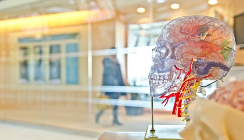 Una misteriosa enfermedad cerebral intriga a los médicos en Canadá