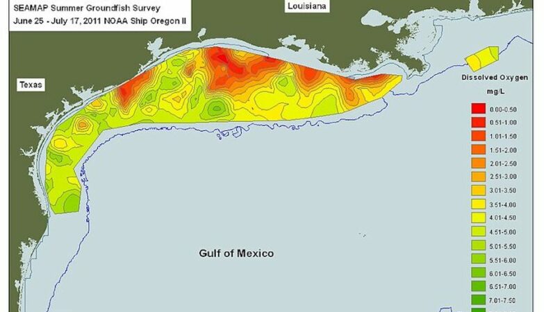 El área muerta del Golfo de México ya supera los cuatro millones de hectáreas