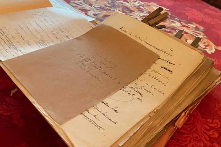 Os manuscritos de Louis-Ferdinand Céline.