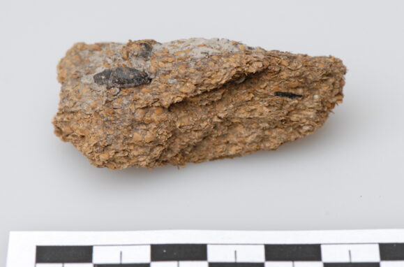 Excremento humano, com 2600 anos, encontrado em Hallstatt, na Aústria