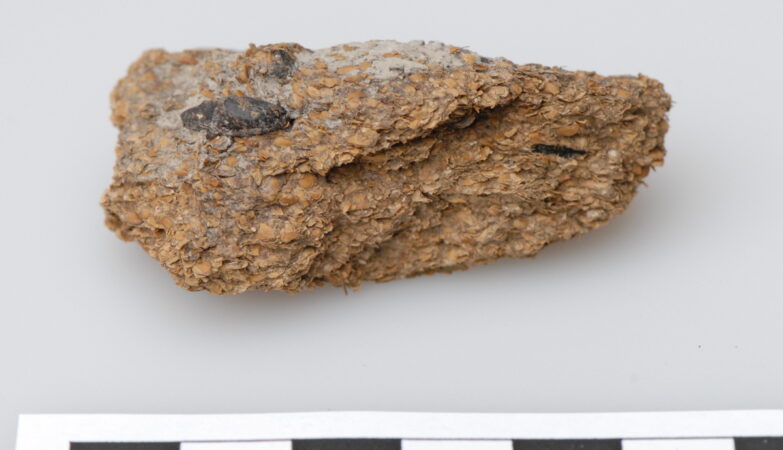 Excremento humano, com 2600 anos, encontrado em Hallstatt, na Aústria