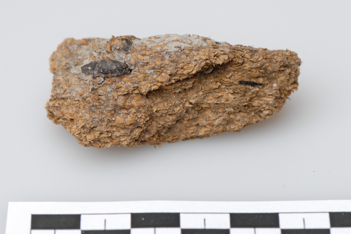 Excremento humano, com 2600 anos, encontrado em Hallstatt, na Aústria
