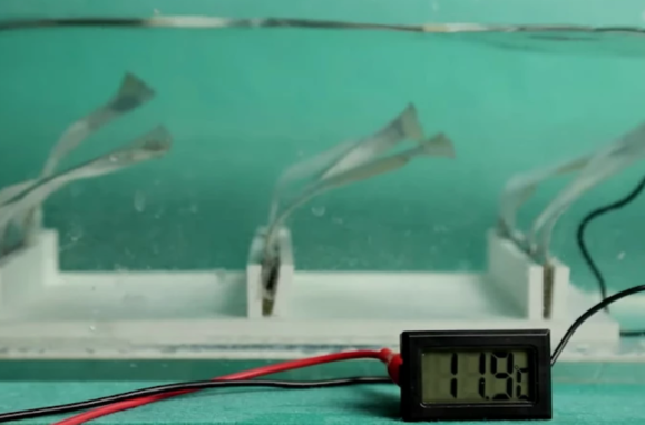 Trio de nanogeradores triboelétricos alimenta um termómetro digital