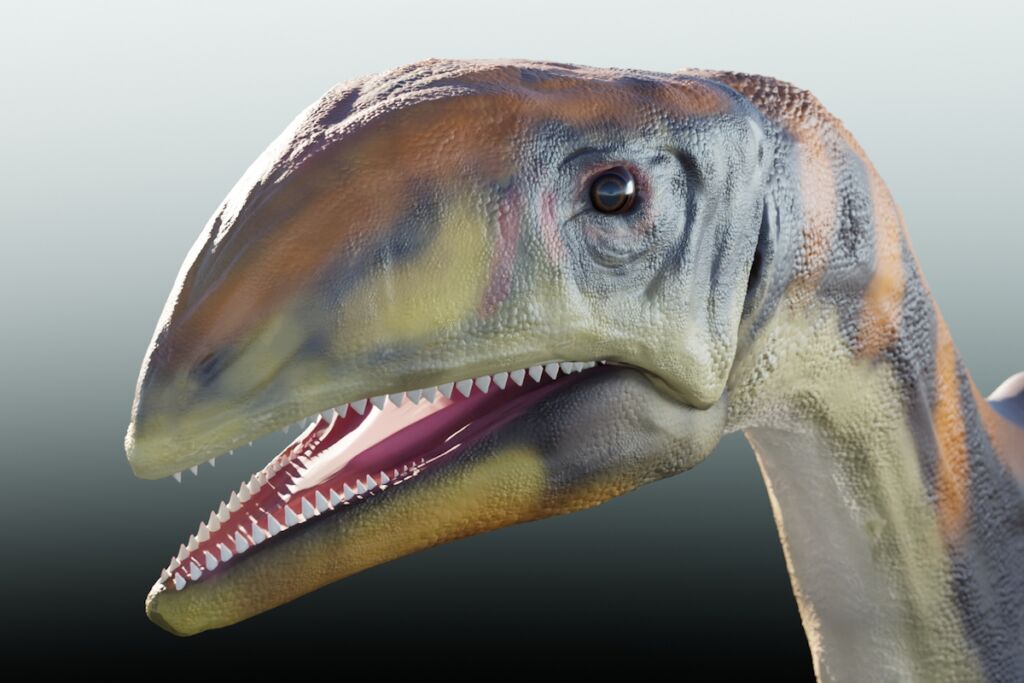 Reconstrução do dinossauro Issi saaneq