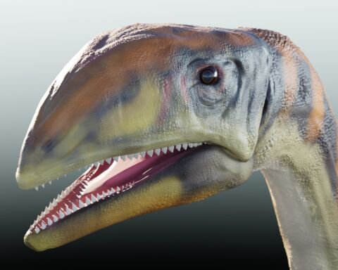 Reconstrução do dinossauro Issi saaneq
