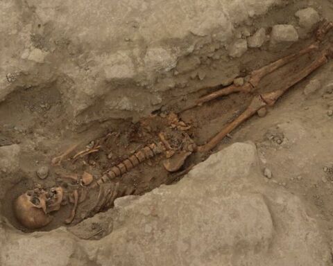 Esqueleto de sacrifício humano encontrado nos Andes no Peru